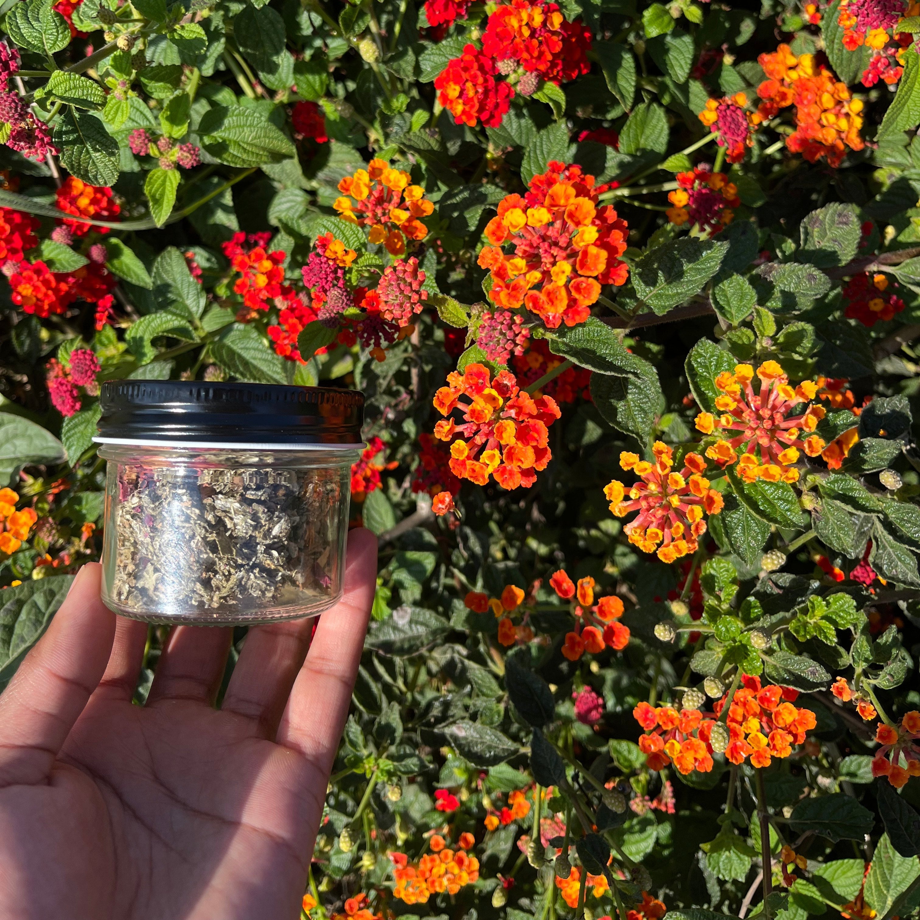 Euphoria Herbal Blend Jar